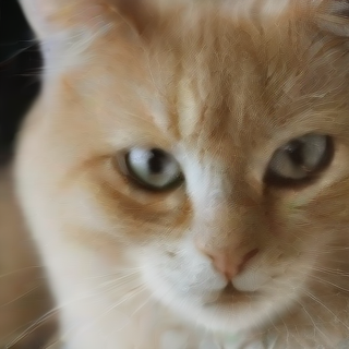 AI Image Generation Studio — screenshot 3